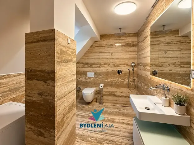 Prodej domu, Teplice, Laubeho náměstí, 425 m2