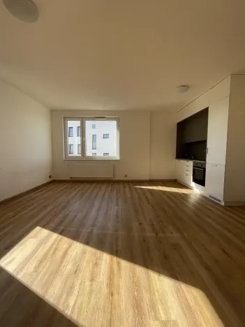 Pronájem bytu 1+kk, České Budějovice, České Vrbné, 40 m2