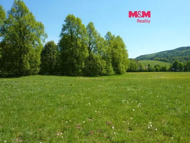 Prodej louky, Vysoká Srbská, 26090 m2