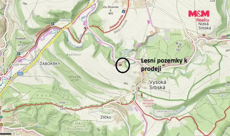 Prodej louky, Vysoká Srbská, 26090 m2
