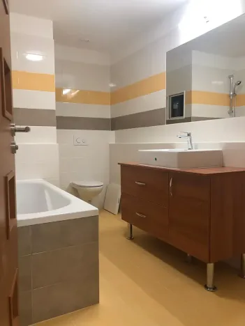 Prodej bytu 2+kk, Plzeň, U Velkého rybníka, 56 m2