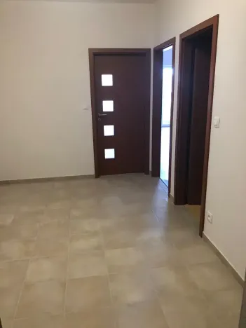 Prodej bytu 2+kk, Plzeň, U Velkého rybníka, 56 m2