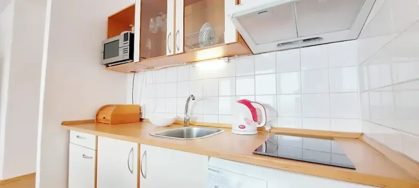 Pronájem bytu 1+kk, Brno, Sevastopolská, 38 m2