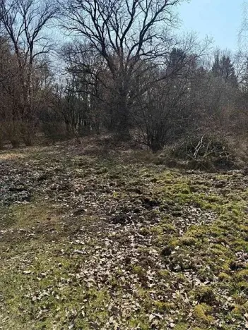 Prodej podílu pozemku, Kamenice, 1081 m2