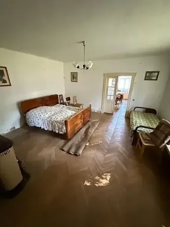 Prodej vícegeneračního domu, Opočnice, 604 m2