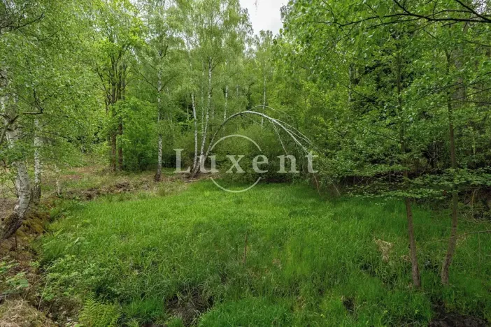 Prodej komerčního pozemku, Lipnice nad Sázavou, 38008 m2