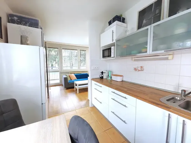 Pronájem bytu 1+1, Čelákovice, Rumunská, 41 m2