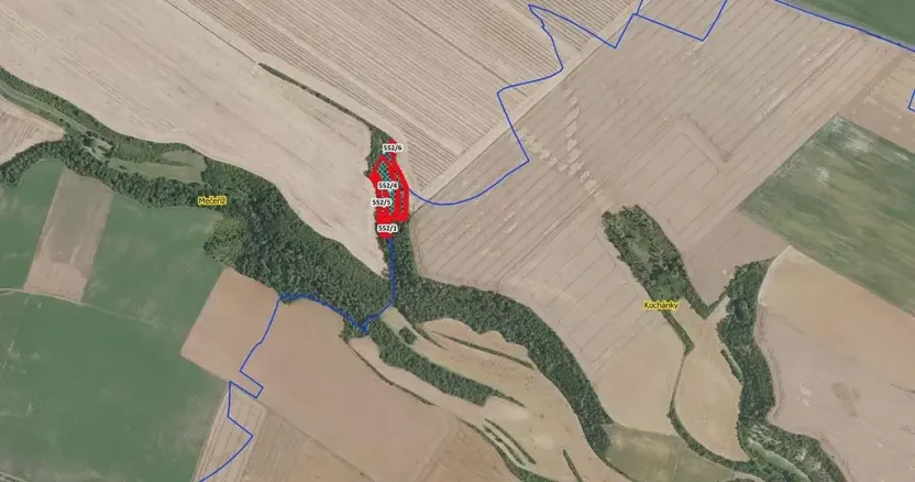 Prodej lesa, Mečeříž, 10300 m2