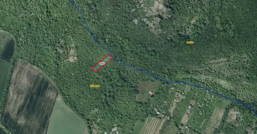 Prodej lesa, Třebenice, 1475 m2