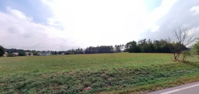 Prodej louky, Vyžice, 8234 m2