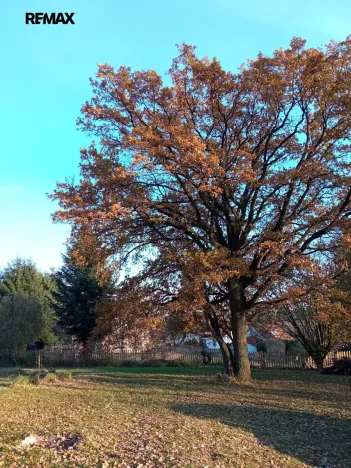 Prodej pozemku pro bydlení, Blažejovice, 1306 m2