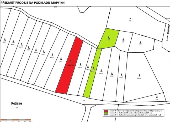 Prodej lesa, Radkovice u Budče, 1549 m2