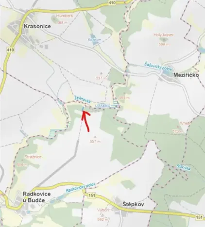 Prodej lesa, Radkovice u Budče, 1549 m2