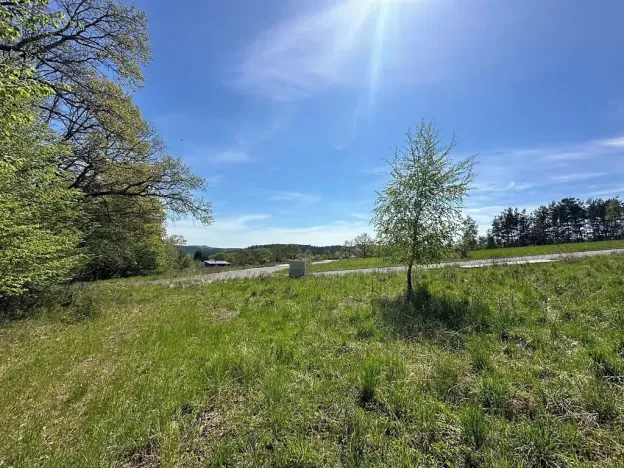 Prodej pozemku pro bydlení, Buš, 1243 m2
