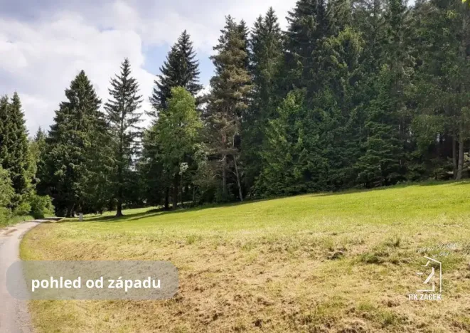 Prodej pozemku, Přední Výtoň, Frýdava, 2152 m2