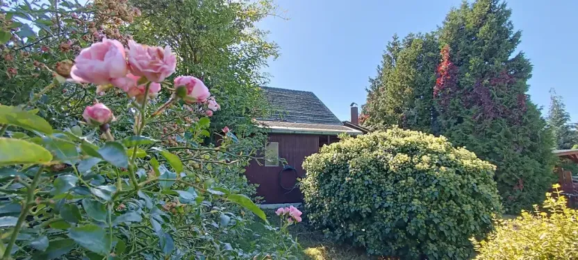 Prodej zahrady, Praha - Bohnice, U Drahaně, 266 m2