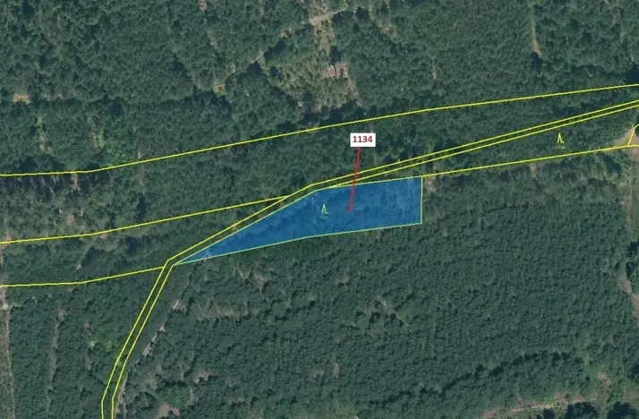 Dražba lesa, Jesenice, 1636 m2