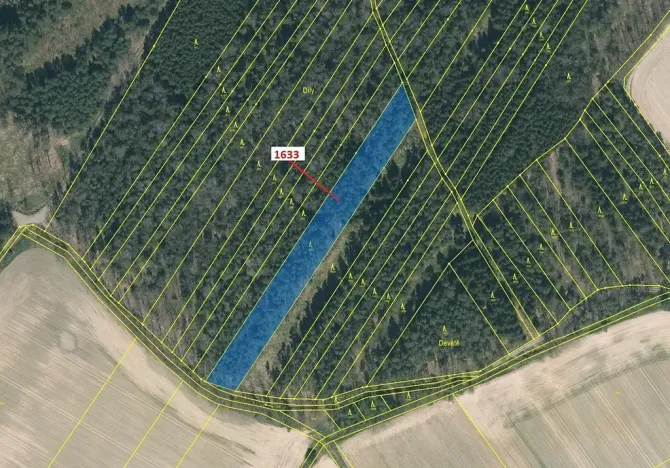 Dražba lesa, Komárov, 5902 m2