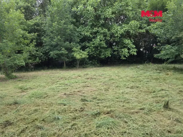 Prodej pozemku pro bydlení, Bor - Boječnice, 1093 m2