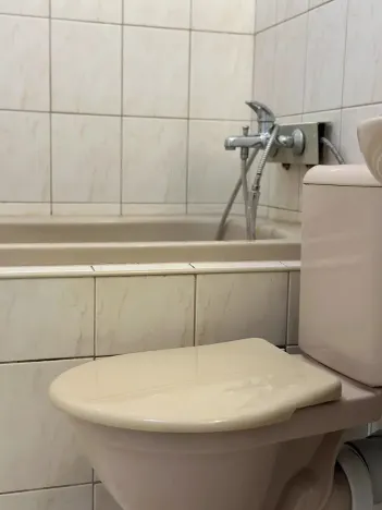 Pronájem bytu 1+kk, Průhonice, U Křížku, 35 m2