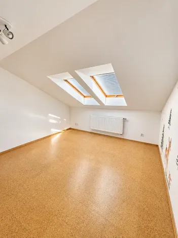 Prodej vícegeneračního domu, Plzeň, 28. října, 983 m2