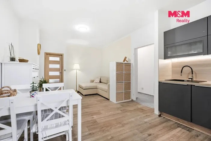 Prodej bytu 3+kk, Velemín - Oparno, 43 m2