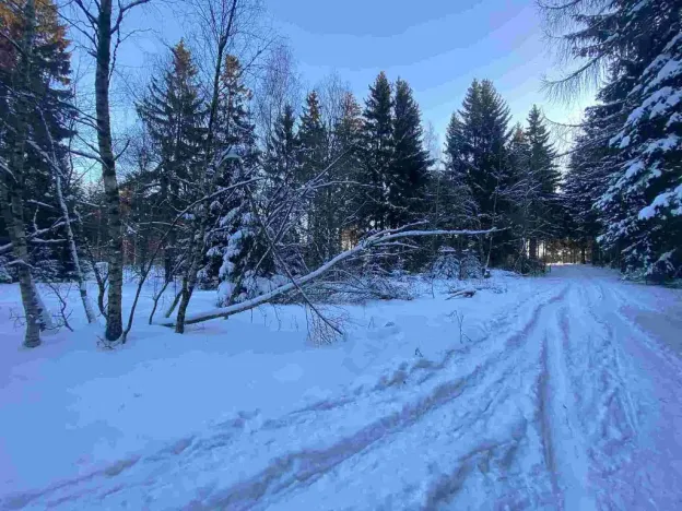 Prodej pozemku, Frýdštejn, 1080 m2