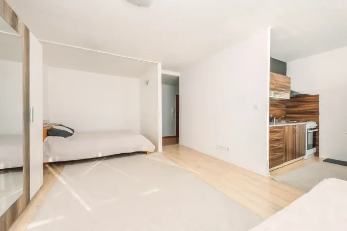 Prodej bytu 1+1, Pardubice - Zelené Předměstí, nábřeží Závodu míru, 43 m2