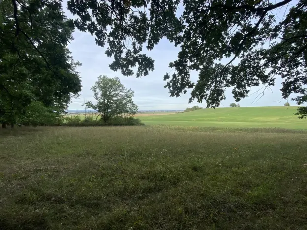 Prodej louky, Ostřetín - Vysoká u Holic, 2972 m2