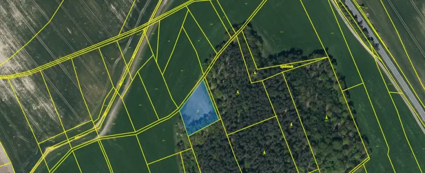 Prodej louky, Ostřetín - Vysoká u Holic, 2972 m2