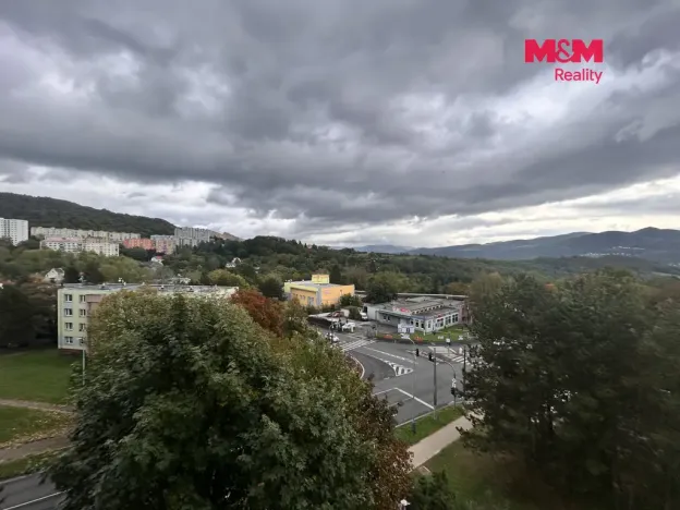 Pronájem bytu 1+kk, Ústí nad Labem - Ústí nad Labem-centrum, Hoření, 21 m2