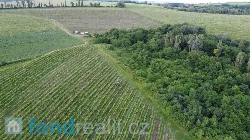 Prodej pozemku, Újezdec, 4878 m2