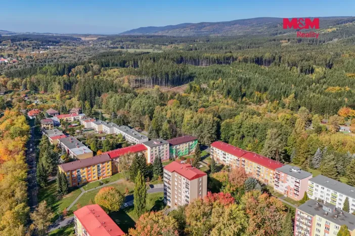 Prodej bytu 3+1, Mariánské Lázně - Úšovice, Mánesova, 63 m2