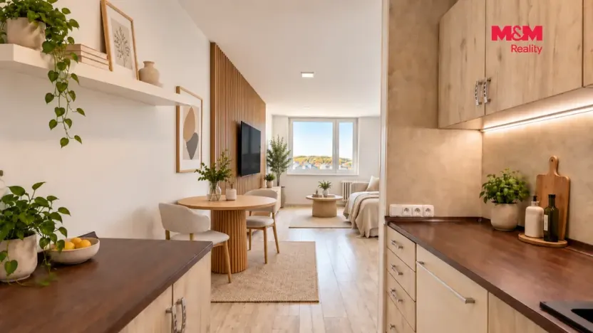 Prodej bytu 2+kk, Mladá Boleslav, Jana Palacha, 42 m2