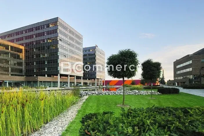 Pronájem kanceláře, Brno, 240 m2