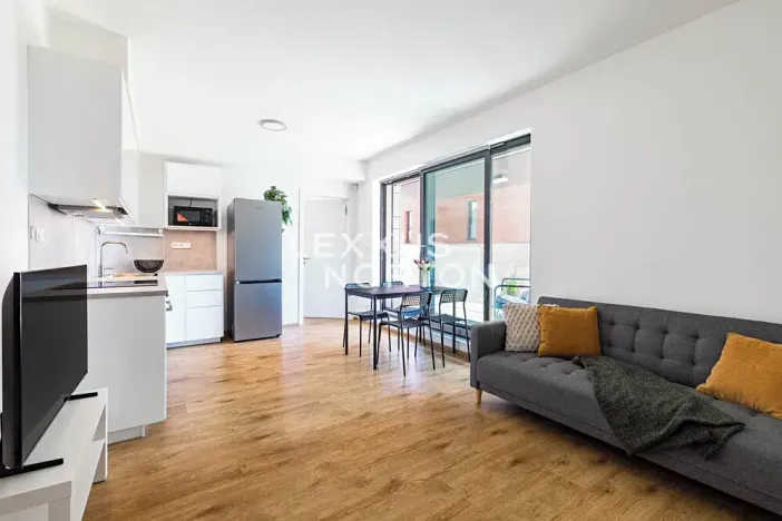 Prodej bytu 2+kk, Praha - Žižkov, Jana Želivského, 46 m2