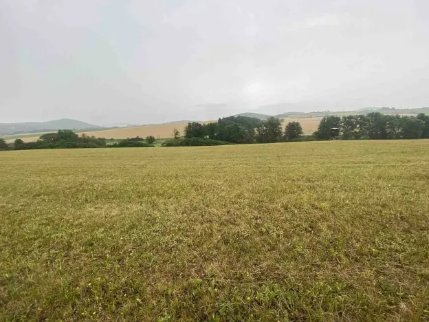 Prodej pole, Rabí - Bojanovice, 22978 m2