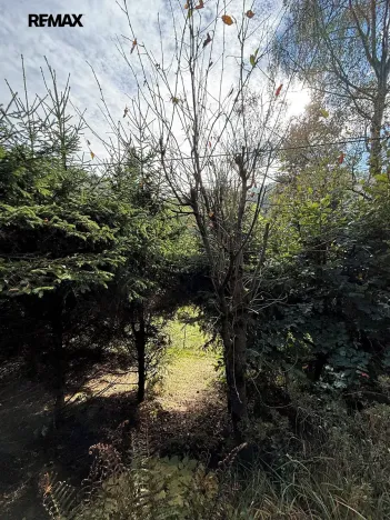 Prodej chaty, Ostrovec-Lhotka, 28 m2