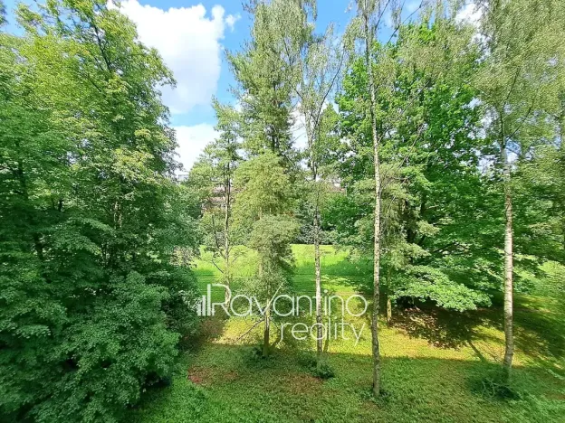 Pronájem bytu 2+1, Brno, Arbesova, 58 m2