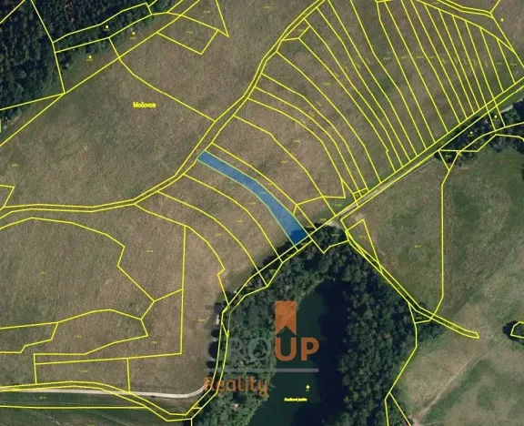 Prodej louky, Maršov, 1381 m2