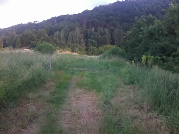Pronájem louky, Velké Březno, 39851 m2