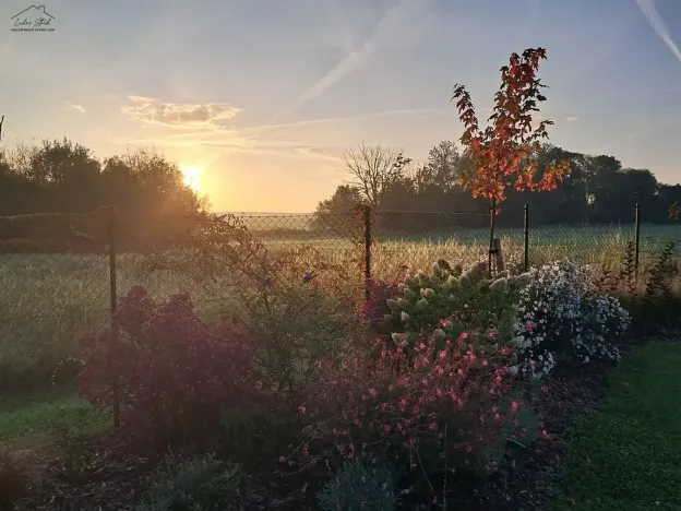Prodej rodinného domu, Křenice, V Zahradách, 99 m2