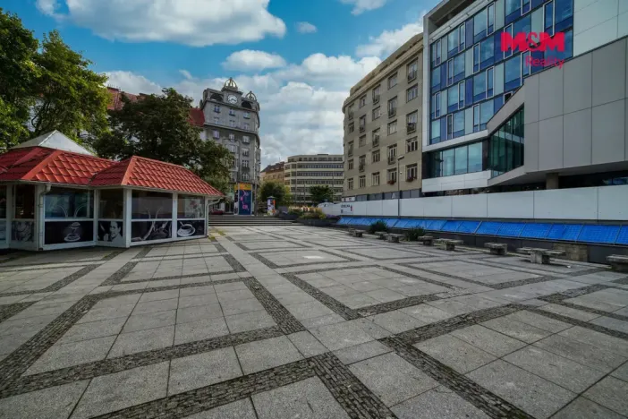Pronájem bytu 2+1, Plzeň - Jižní Předměstí, Goethova, 90 m2