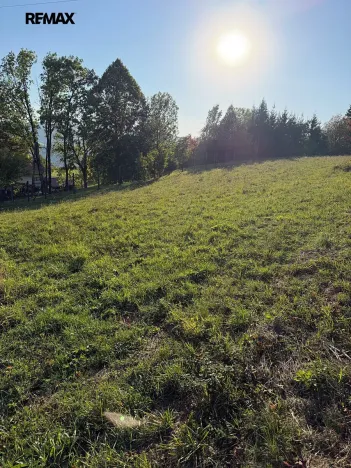 Prodej pozemku pro bydlení, Žítková, 2204 m2