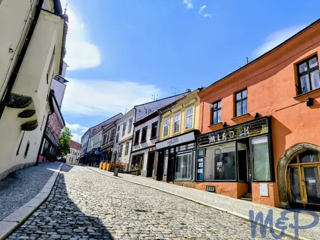 Prodej obchodního prostoru, Třebíč, Hasskova, 240 m2