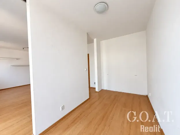 Prodej bytu 1+kk, Plzeň, Karlova, 42 m2