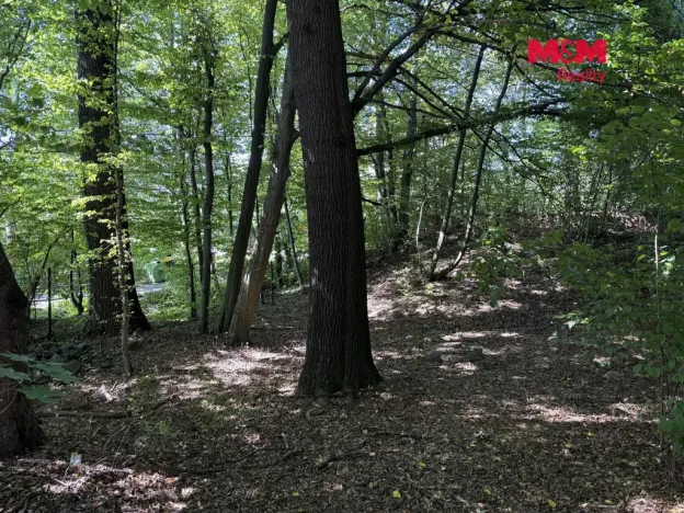 Prodej pozemku pro bydlení, Řepiště, 3402 m2