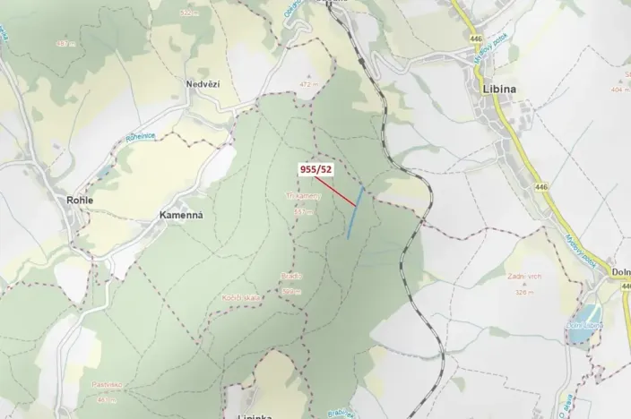 Dražba lesa, Nová Hradečná, 12014 m2