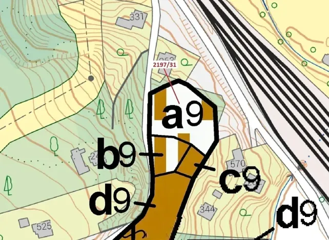 Dražba lesa, Karviná, 1999 m2