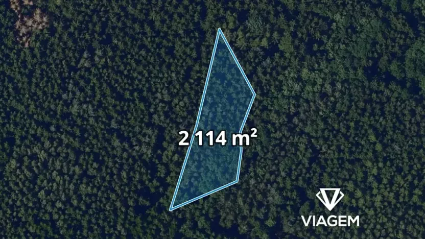 Prodej podílu lesa, Horní Krupá, 1585 m2